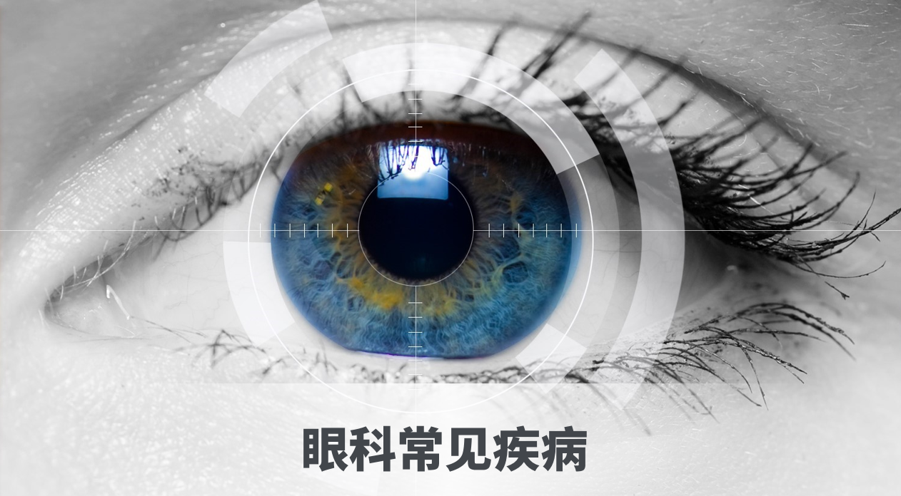 微信图片_20230508135813.png