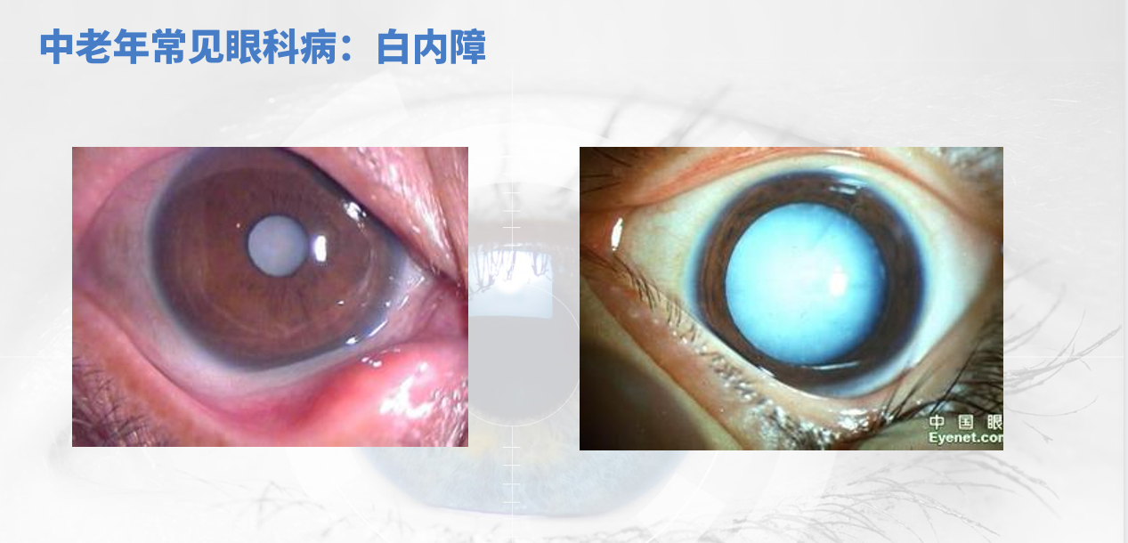 微信图片_20230508135828.png